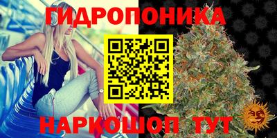 твердый Славянск-на-Кубани