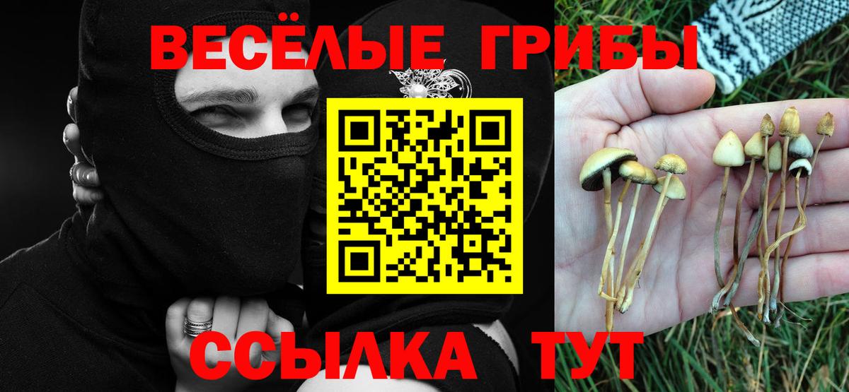 Азов  Псилоцибиновые грибы прущие грибы  Вход с VPN 