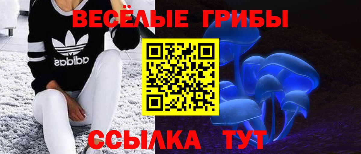 Псилоцибиновые грибы прущие грибы Азов
